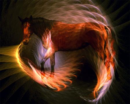Cheval