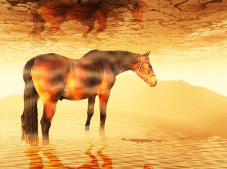 Cheval