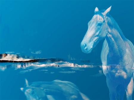 Cheval