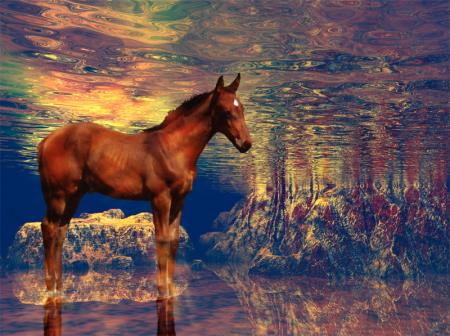 Cheval